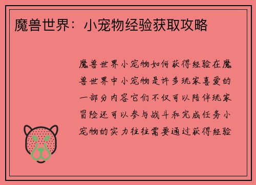 魔兽世界：小宠物经验获取攻略